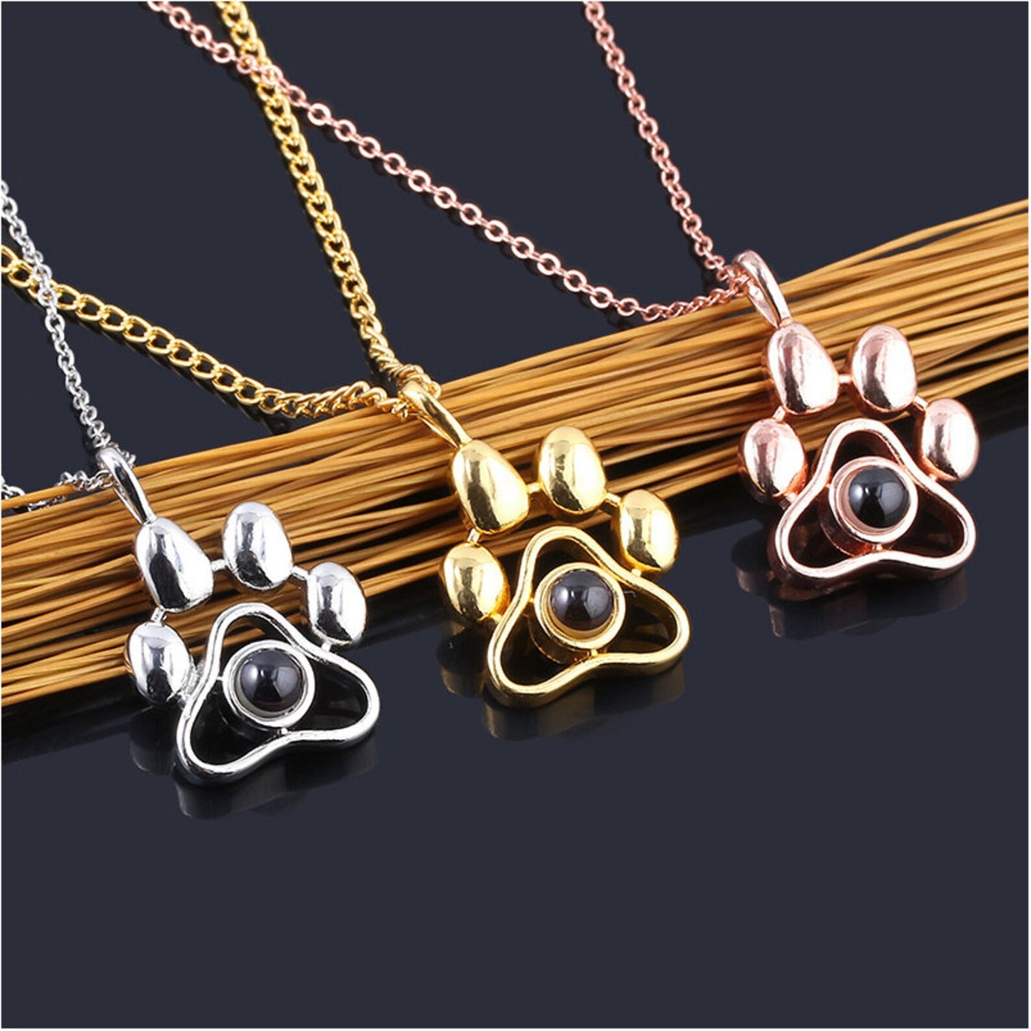 Pet Charm with Projection Photo Necklace