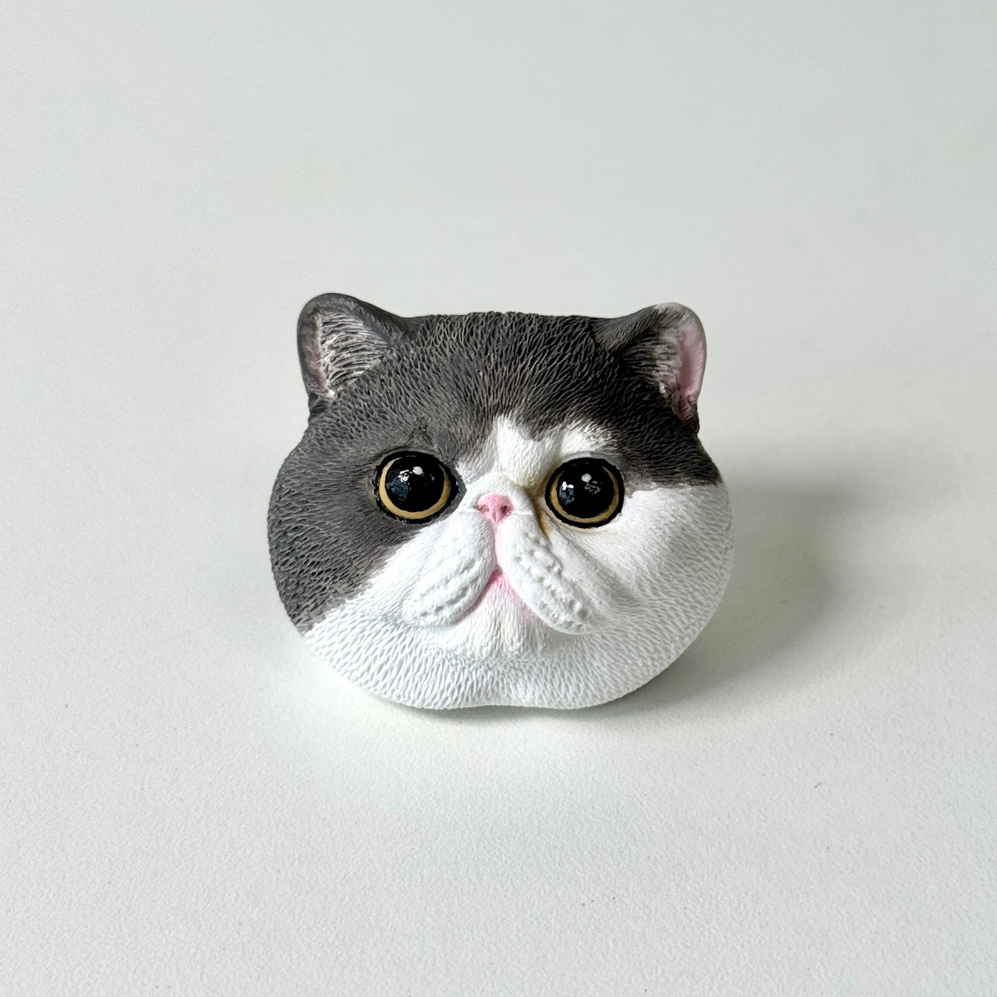 Custom Pet Urn & Sample