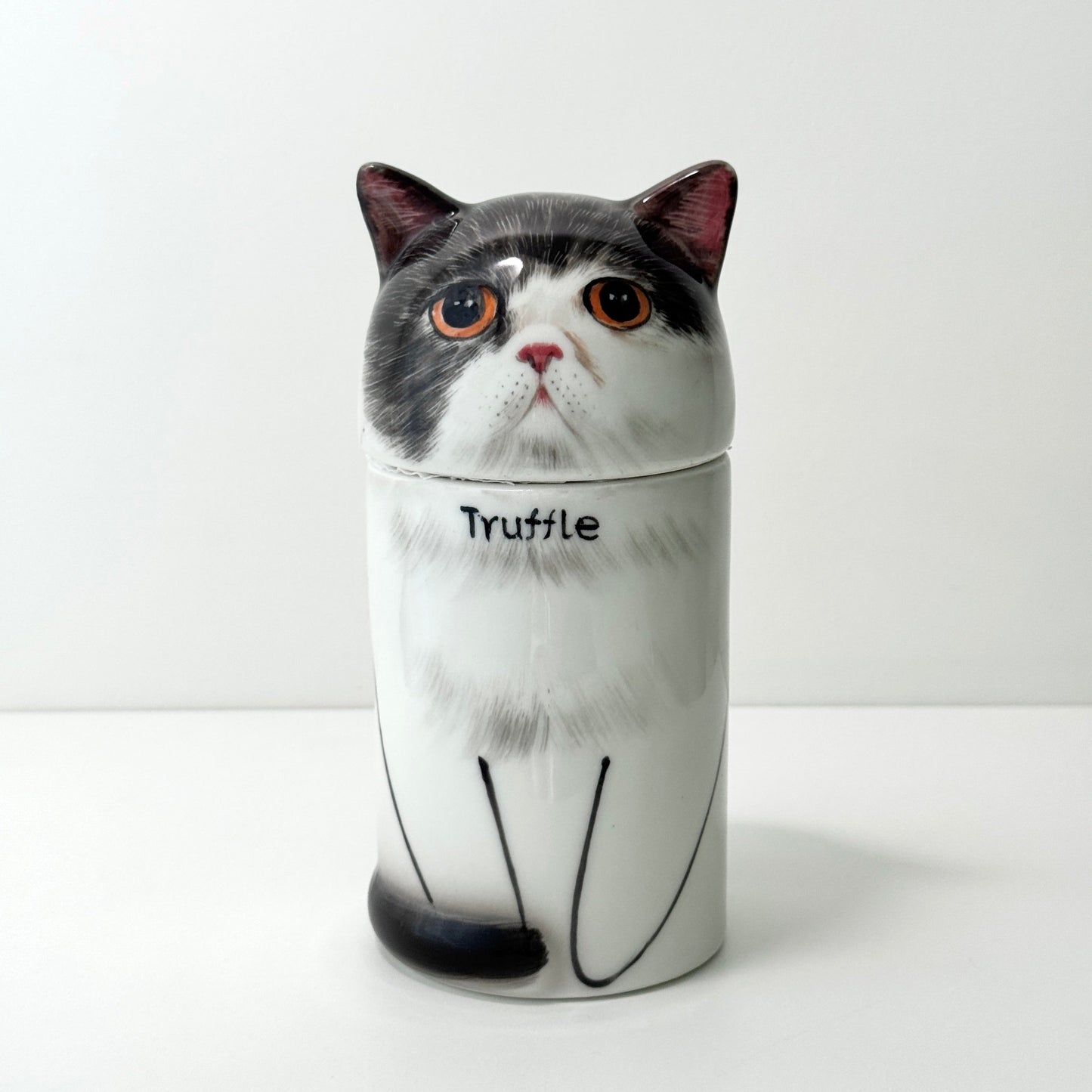 Custom Pet Urn & Sample