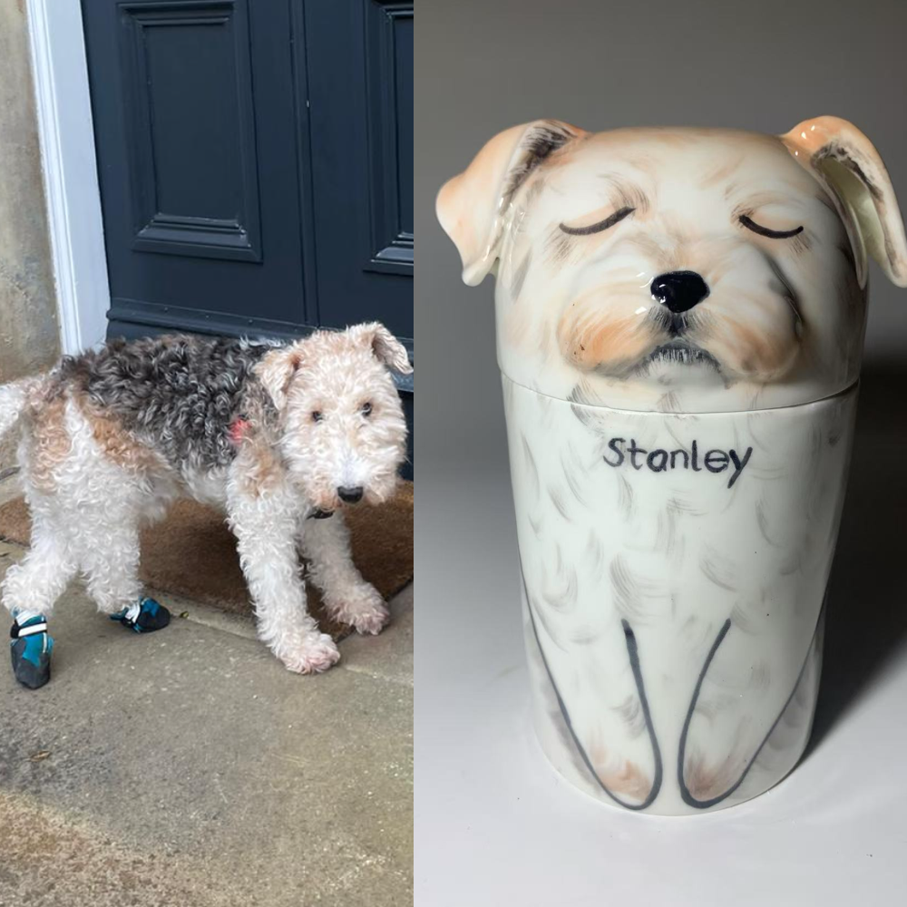 Personalized Ceramic Dog Urn – Custom Pet Ashes Memorial with Engraved Name & Photo